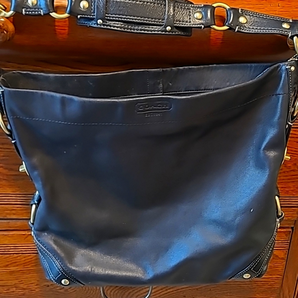 Coach Large Carly Leather Hobo Bag